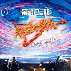 《闪光的乐队 第12期》歌曲合集[高品质MP3+无损FLAC/647MB]百度云网盘下载