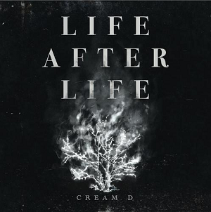 CREAM D《LIFE AFTER LIFE》全新专辑[高品质MP3+无损FLAC/326MB]百度云网盘下载