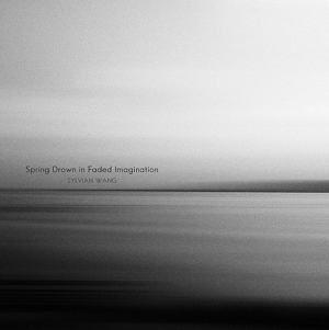 王宇波 Sylvian Wang《Spring Drown in Faded Imagination 春归无觅》纯音乐专辑[高品质MP3-320K/117MB]百度云网盘下载