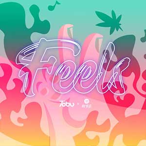 徐梦圆,Tobu-Feels《Feels》全新单曲[高品质MP3+无损FLAC/33MB]百度云网盘下载