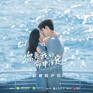 《你是我的命中注定 电视剧原声带》[高品质MP3+无损FLAC/105MB]百度云网盘下载