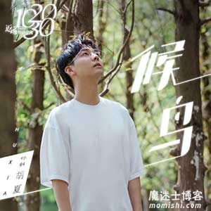 胡夏《候鸟》全新翻唱单曲[高品质MP3+无损FLAC/38MB]百度云网盘下载