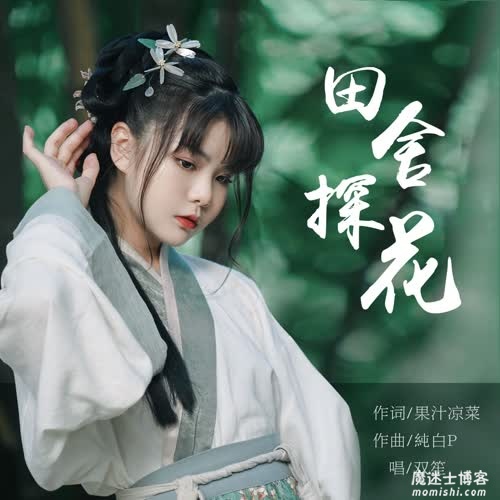 双笙《田舍探花》全新音乐单曲[高品质MP3+无损FLAC/43MB]百度云网盘下载