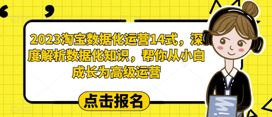 图片[1]-2023淘宝数据化-运营 14式，深度解析数据化知识，帮你从小白成长为高级运营-云上仙人资源网