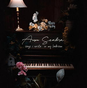 Anson Seabra《Songs I Wrote in My Bedroom (Explicit)》[高品质MP3+无损FLAC/317MB]百度云网盘下载