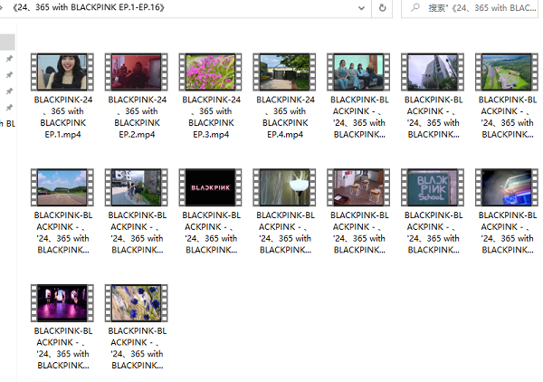 BLACKPINK《24、365 with BLACKPINK EP.1-EP.16》无水印MV高清1080P[MP4/5.98GB]百度云网盘下载