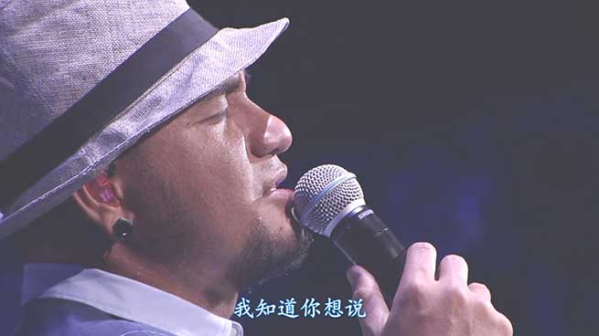 张震岳《2014破浪台北小巨蛋演唱会》无水印高清演唱会[1080P/MKV/14.1GB]百度云网盘下载