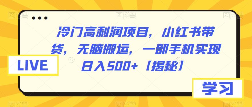 冷门高利润项目,小红书带货,无脑搬运,一部手机实现日入500+【揭秘】