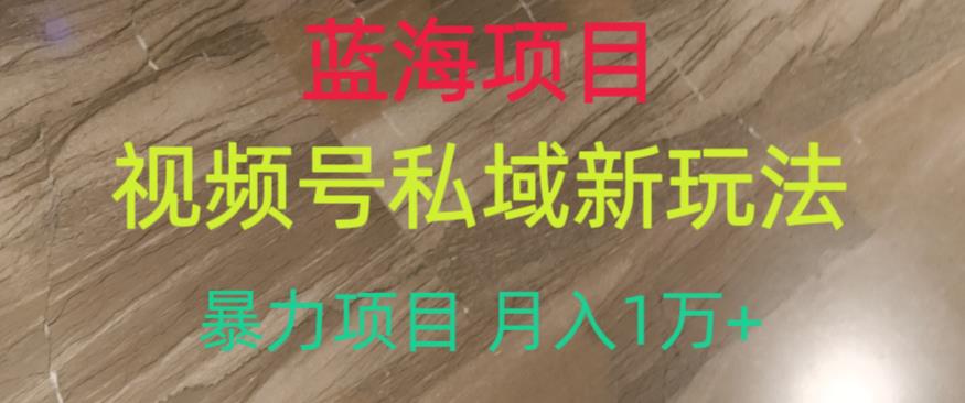 蓝海项目,视频号私域新玩法,暴力项目月入1万+【揭秘】