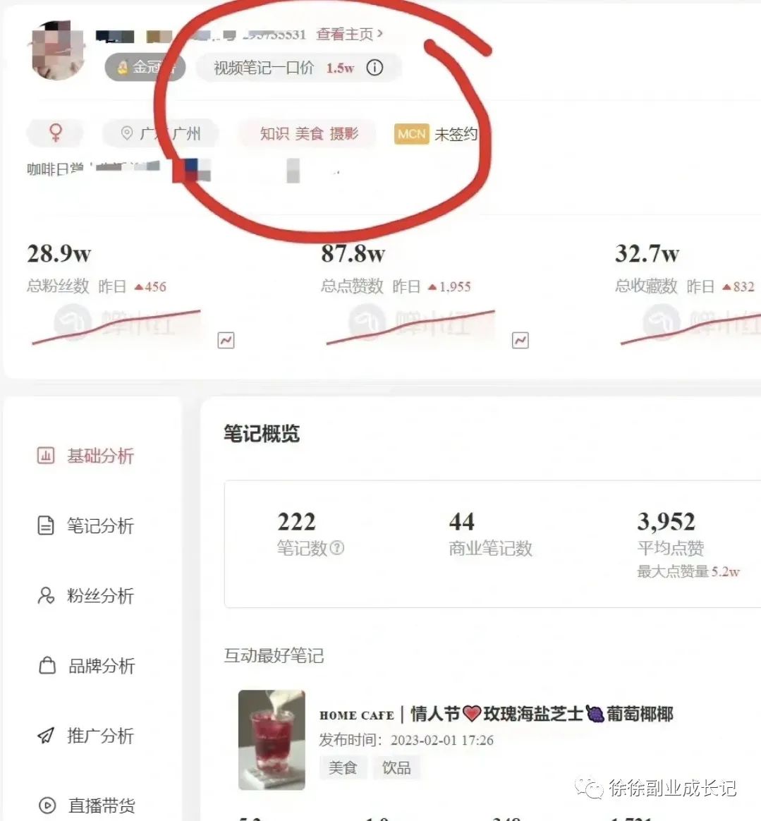 图片[1]-小红书冷门赛道揭秘：轻松赚钱的机会等你来把握-云上仙人资源网