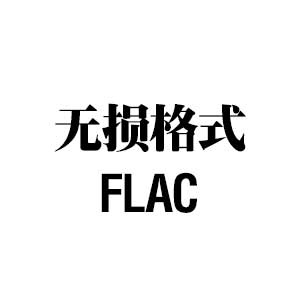 罗大佑-皇后大道东[高品质MP3+无损FLAC格式]百度云网盘下载