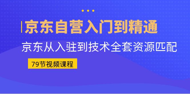 图片[1]-京东自营入门到精通：京东从入驻到技术全套资源匹配-云上仙人资源网