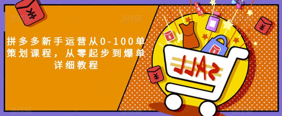 拼多多新手运营从0-100单策划课程,从零起步到爆单详细教程