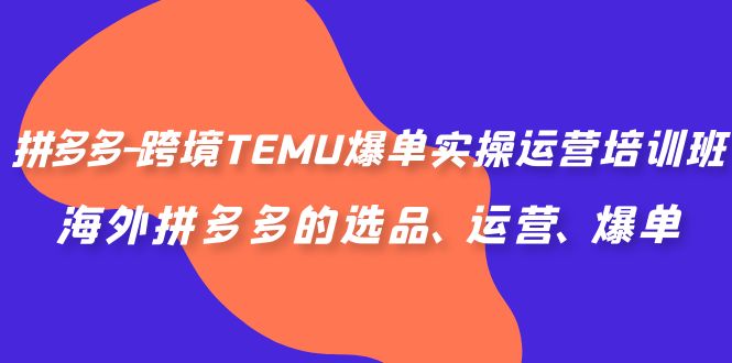 图片[1]-拼多多-跨境TEMU爆单实操运营培训班，海外拼多多的选品、运营、爆单-云上仙人资源网
