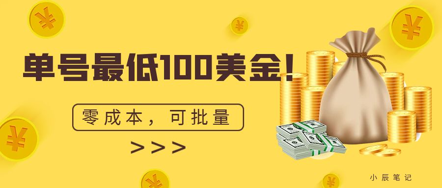 图片[1]-单号最低100美金，零成本，小白无脑操作。可复制，可扩大。-云上仙人资源网