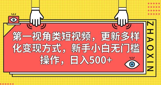 第一视角类短视频，更新多样化变现方式，新手小白无门槛操作，日入500 【揭秘】