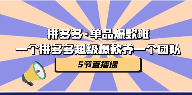 图片[1]-拼多多·单品爆款班，一个拼多多超级爆款养一个团队（5节直播课）-云上仙人资源网