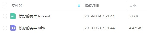 韩国电影《愤怒的黄牛》超清韩语中文字幕