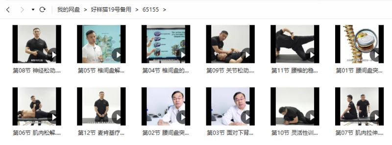 毕义明《12节椎间盘突出康复课》完结版课程视频合集 毕义明《12节椎间盘突出康复课》完结版课程视频合集