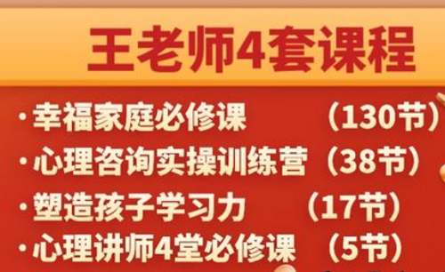 王纪琼《心理咨询技术案例实操训练营》完结版课程视频 王纪琼《心理咨询技术案例实操训练营》完结版课程视频