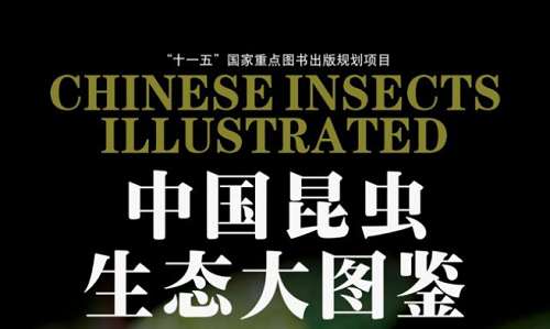 认知升级-《中国昆虫生态大图鉴》全691页电子文档合集