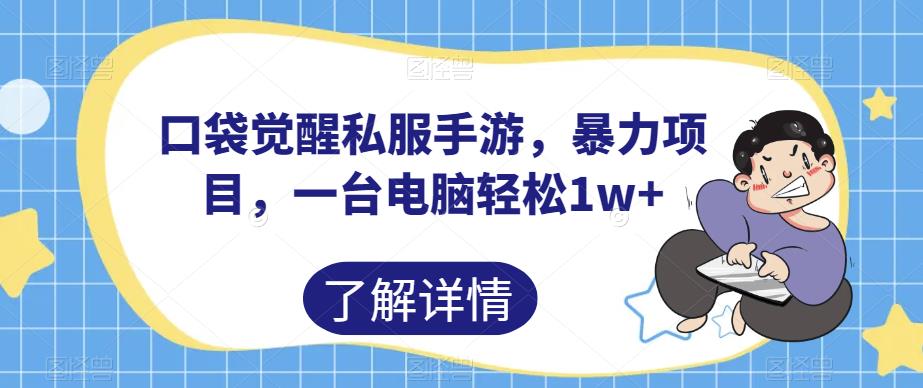 口袋觉醒私服手游,暴力项目,一台电脑轻松1w+【揭秘】