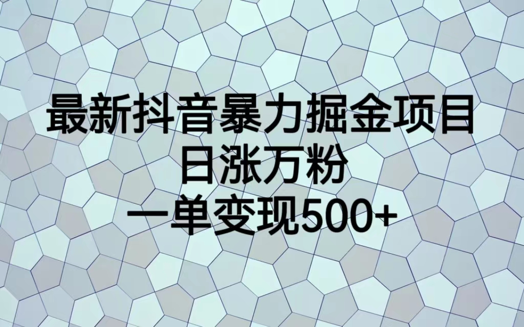 图片[1]-最火热的抖音暴力掘金项目，日涨万粉，多种变现方式，一单变现可达500+-云上仙人资源网