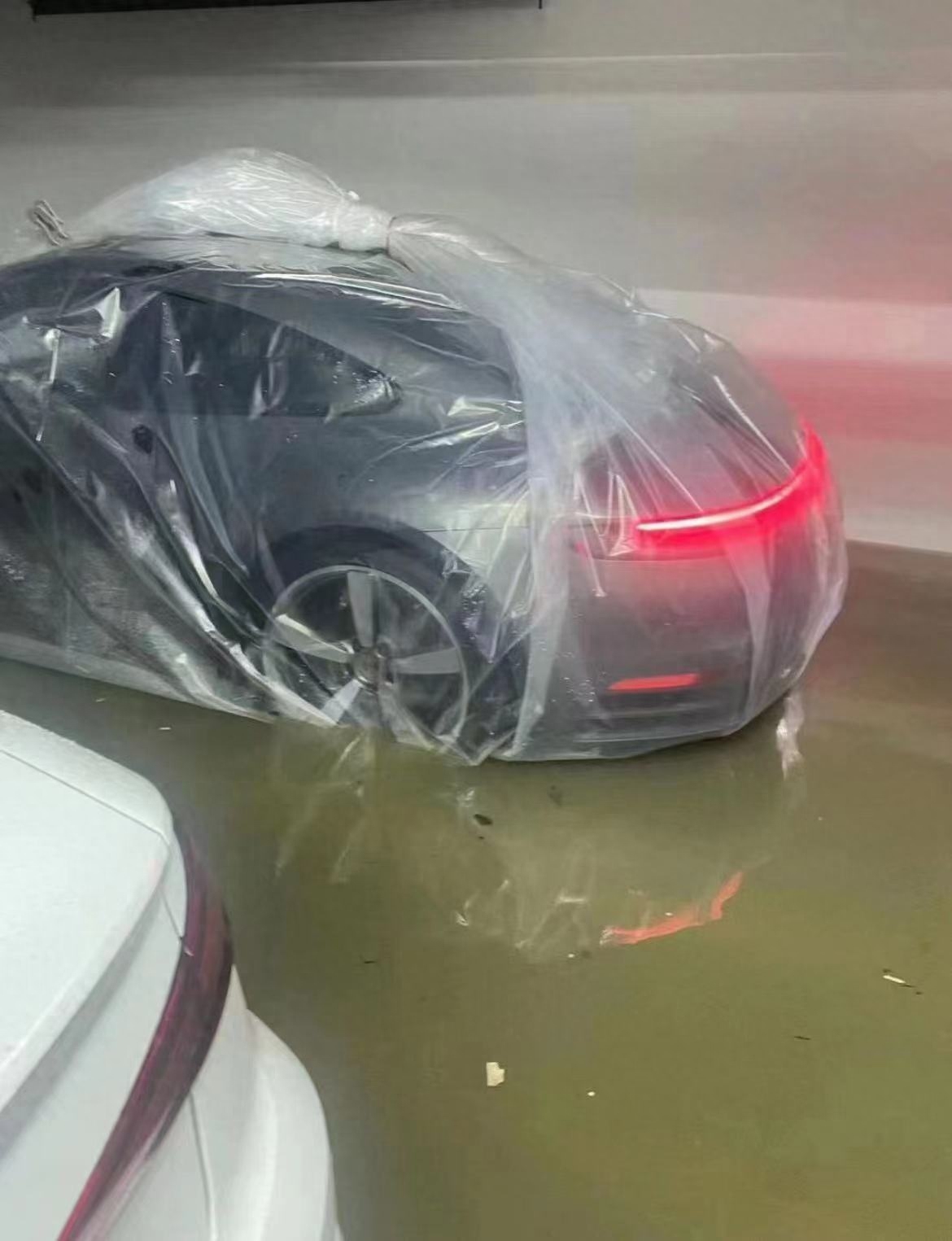 图片[1]-福州一车主将车装入塑料袋：专门准备的，上次台风被淹过【防水界大佬！】-云上仙人资源网