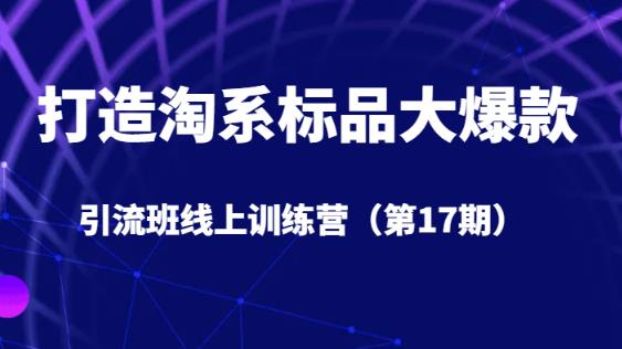 打造淘系标品大爆款引流班线上训练营(第17期)5天直播授课