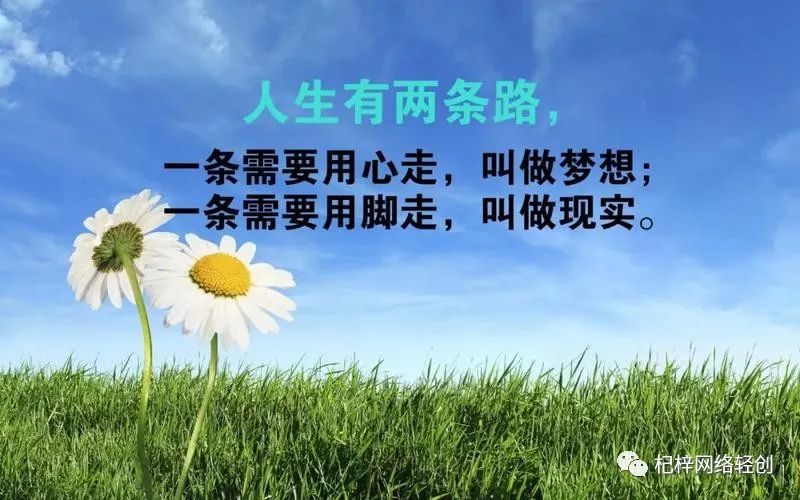图片[1]-一个人经营的小生意，投资一千无淡季全年，每天七八百收入，时间自由-云上仙人资源网