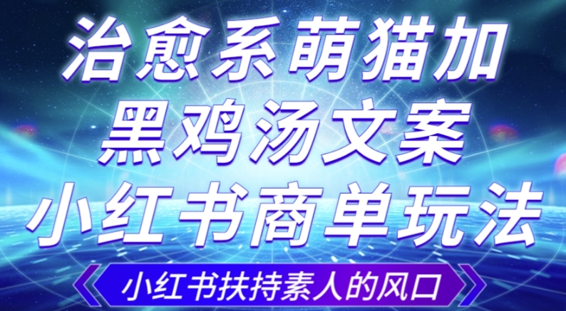治愈系萌猫加+黑鸡汤文案,小红书商单玩法,3~10天涨到1000粉,一单200左右