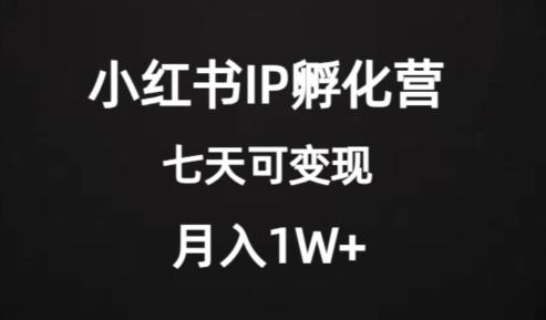 图片[1]-价值2000+的小红书IP孵化营项目，超级大蓝海，七天即可开始变现，稳定月入1W+-云上仙人资源网