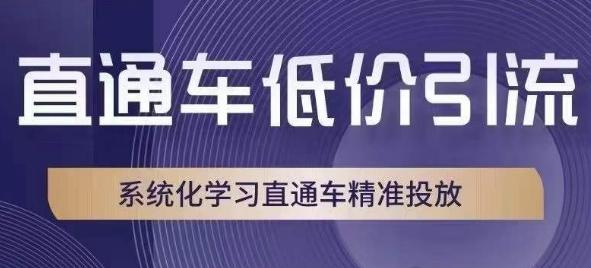 图片[1]-直通车低价引流教程，系统化学习直通车精准投放-云上仙人资源网