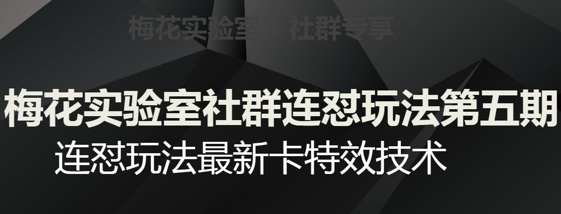 图片[1]-梅花实验室社群连怼玩法第五期，视频号连怼玩法最新卡特效技术-云上仙人资源网