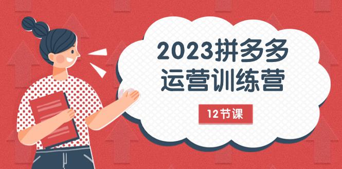 图片[1]-2023年拼多多运营攻略：解锁流量秘密，全方位免费+付费流量实战解析（12节课）-云上仙人资源网