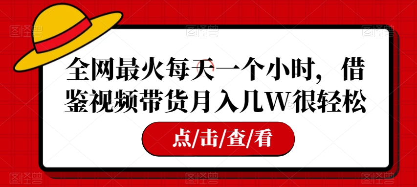 全网最火每天一个小时,借鉴视频带货月入几W很轻松【揭秘】
