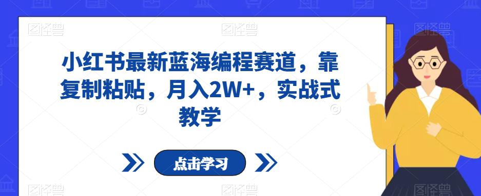 图片[1]-小红书最新蓝海编程赛道，靠复制粘贴，月入2W+，实战式教学【揭秘】-云上仙人资源网