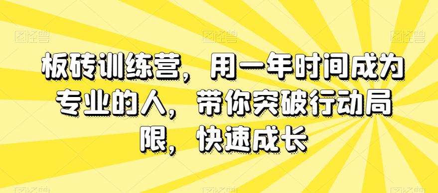 图片[1]-板砖训练营，用一年时间成为专业的人，带你突破行动局限，快速成长-云上仙人资源网