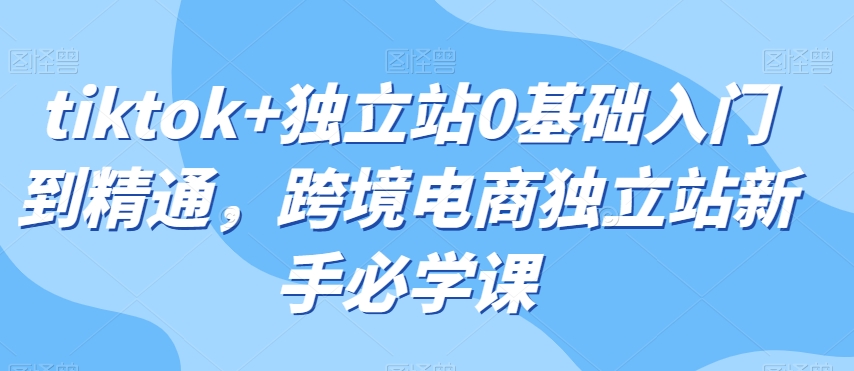 tiktok+独立站0基础入门到精通,跨境电商独立站新手必学课