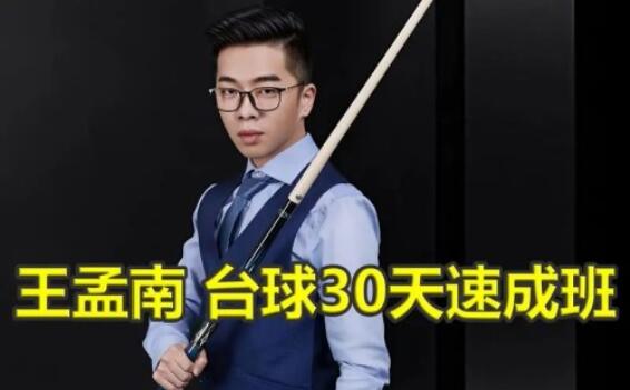 王孟南·台球零基础入门自学教程简介