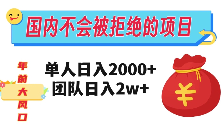 在国内不怕被拒绝的项目，单人日入2000，团队日入20000 【揭秘】