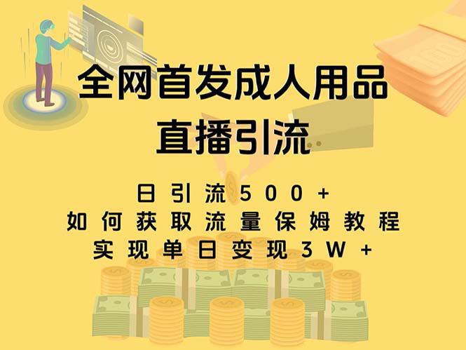 图片[1]-最新全网独创首发，成人用品直播引流获客暴力玩法，单日变现3w保姆级教程-云上仙人资源网