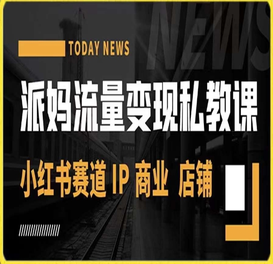 派妈流量变现私教课,小红书赛道IP 商业 店铺