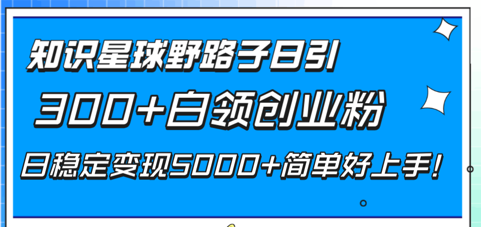 图片[1]-知识星球野路子日引300+白领创业粉，日稳定变现5000+简单好上手！-云上仙人资源网