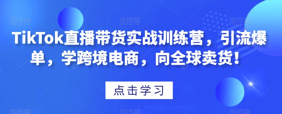 TikTok直播带货实战训练营,引流爆单,学跨境电商,向全球卖货!