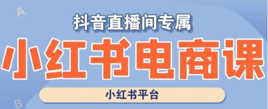 小红书电商高级运营课程,实操教学+案例分析