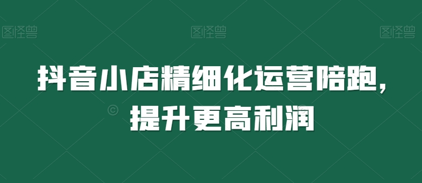 抖音小店精细化运营陪跑,提升更高利润