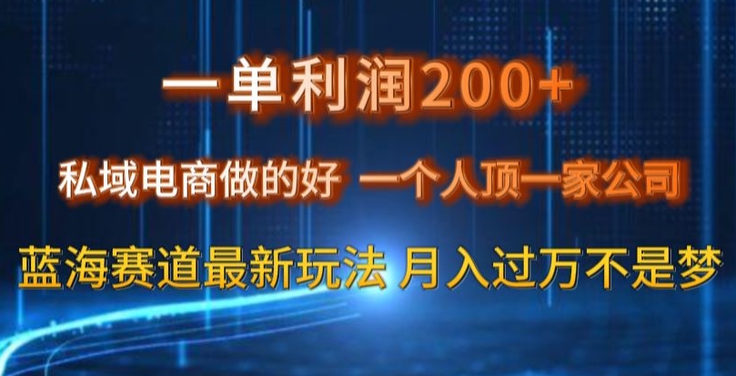 图片[1]-一单利润200私域电商做的好，一个人顶一家公司蓝海赛道最新玩法【揭秘】-云上仙人资源网