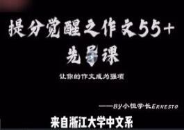 小恒学长·Ernesto提分觉醒之作文55+作文课简介