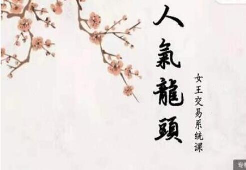 低吸女王人气龙头周期系统课程简介